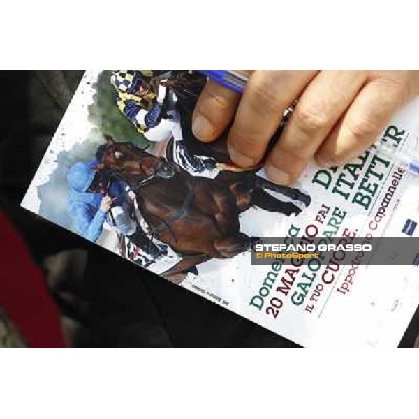 Premio Presidente della Repubblica GBI Racing Rome - Capannelle racecourse, 13th may 2012 ph.Stefano Grasso