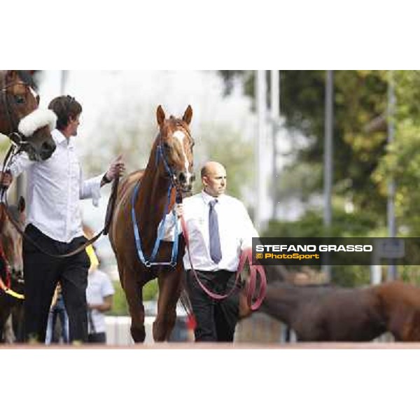 Premio Presidente della Repubblica GBI Racing Rome - Capannelle racecourse, 13th may 2012 ph.Stefano Grasso