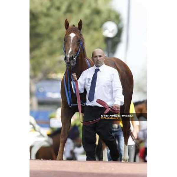 Premio Presidente della Repubblica GBI Racing Rome - Capannelle racecourse, 13th may 2012 ph.Stefano Grasso