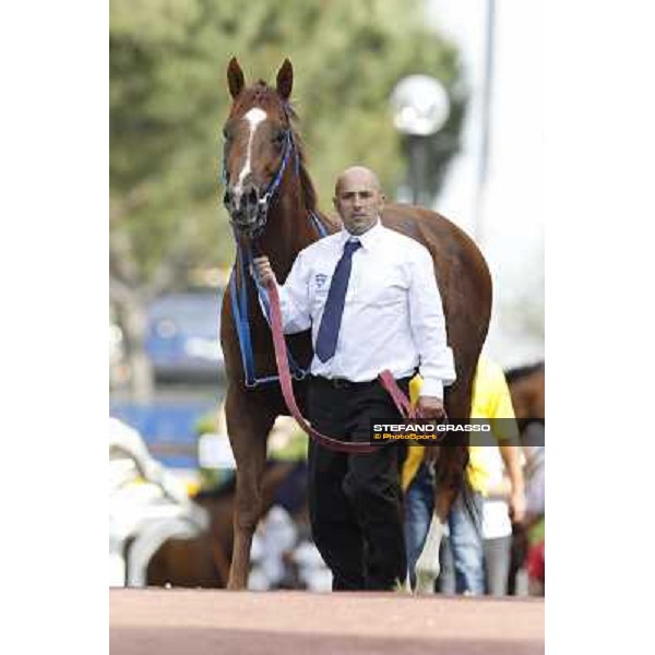 Premio Presidente della Repubblica GBI Racing Rome - Capannelle racecourse, 13th may 2012 ph.Stefano Grasso