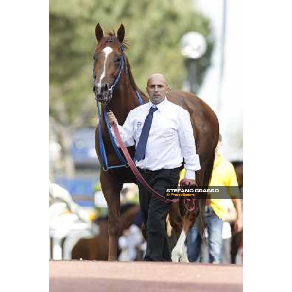 Premio Presidente della Repubblica GBI Racing Rome - Capannelle racecourse, 13th may 2012 ph.Stefano Grasso