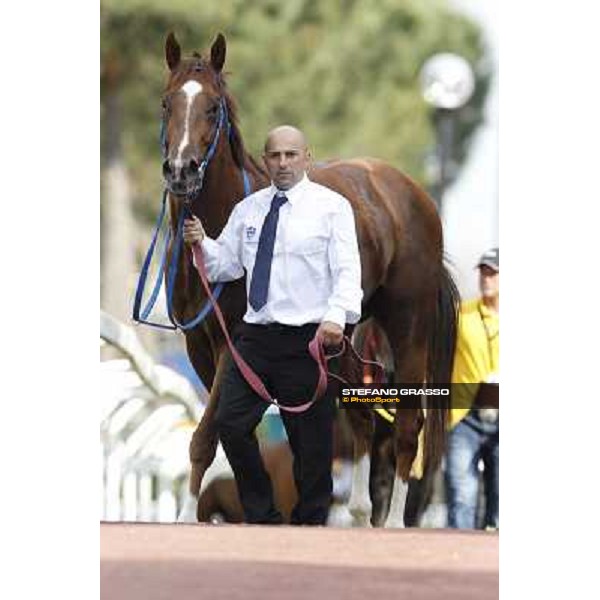 Premio Presidente della Repubblica GBI Racing Rome - Capannelle racecourse, 13th may 2012 ph.Stefano Grasso