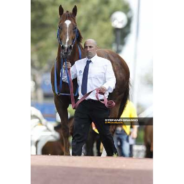 Premio Presidente della Repubblica GBI Racing Rome - Capannelle racecourse, 13th may 2012 ph.Stefano Grasso