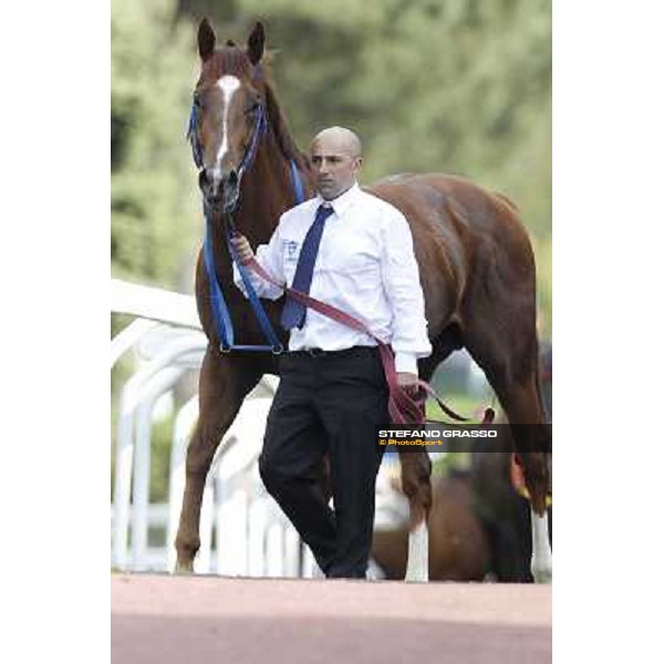 Premio Presidente della Repubblica GBI Racing Rome - Capannelle racecourse, 13th may 2012 ph.Stefano Grasso