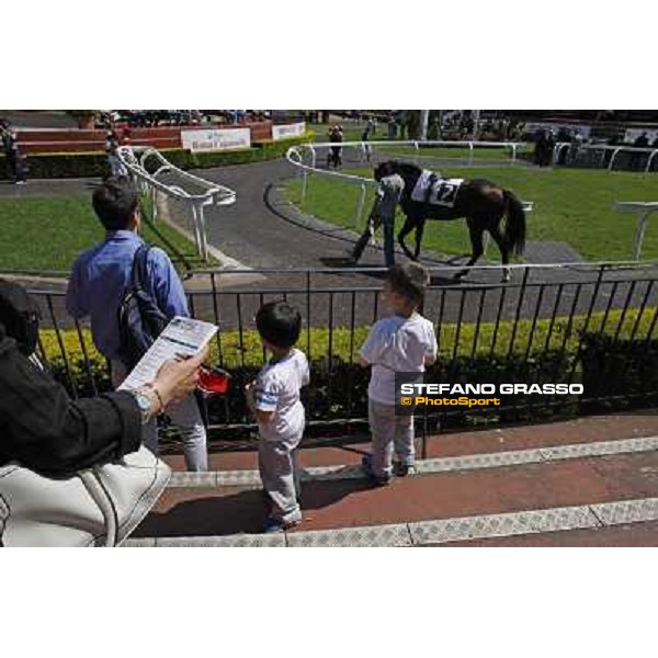 Premio Presidente della Repubblica GBI Racing Rome - Capannelle racecourse, 13th may 2012 ph.Stefano Grasso