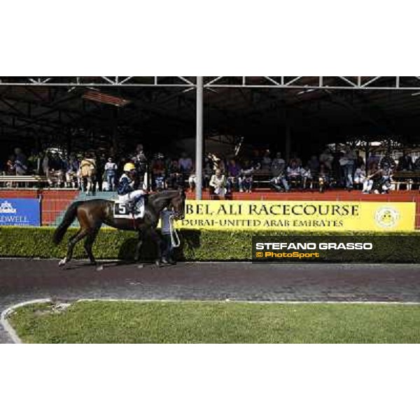 Premio Presidente della Repubblica GBI Racing Rome - Capannelle racecourse, 13th may 2012 ph.Stefano Grasso