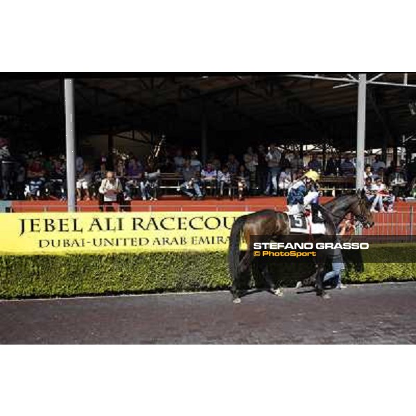 Premio Presidente della Repubblica GBI Racing Rome - Capannelle racecourse, 13th may 2012 ph.Stefano Grasso