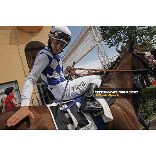 Premio Presidente della Repubblica GBI Racing Rome - Capannelle racecourse, 13th may 2012 ph.Stefano Grasso