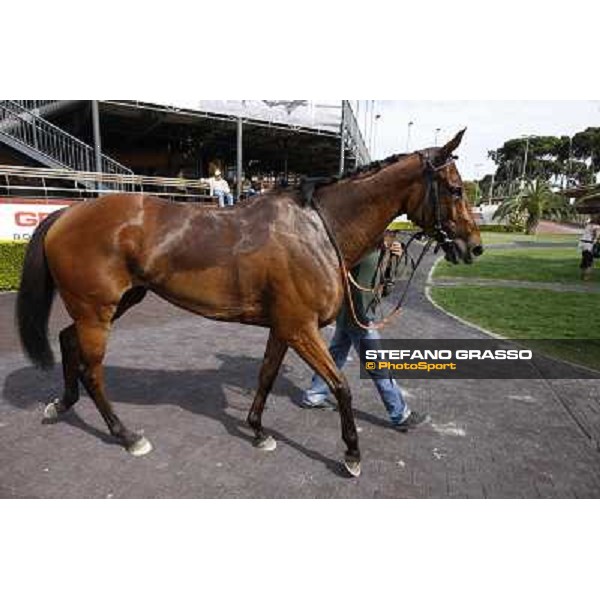 Premio Presidente della Repubblica GBI Racing Rome - Capannelle racecourse, 13th may 2012 ph.Stefano Grasso