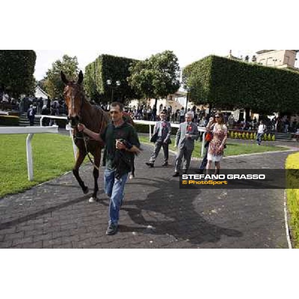 Premio Presidente della Repubblica GBI Racing Rome - Capannelle racecourse, 13th may 2012 ph.Stefano Grasso