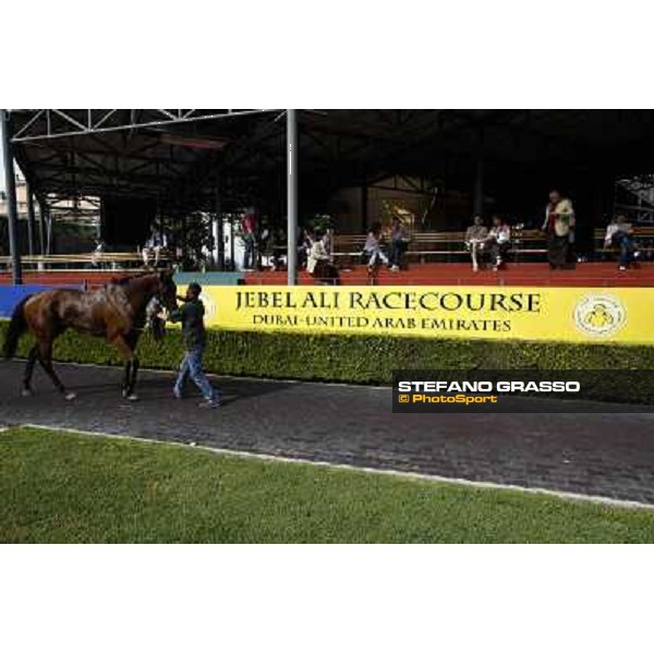 Premio Presidente della Repubblica GBI Racing Rome - Capannelle racecourse, 13th may 2012 ph.Stefano Grasso