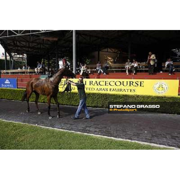 Premio Presidente della Repubblica GBI Racing Rome - Capannelle racecourse, 13th may 2012 ph.Stefano Grasso