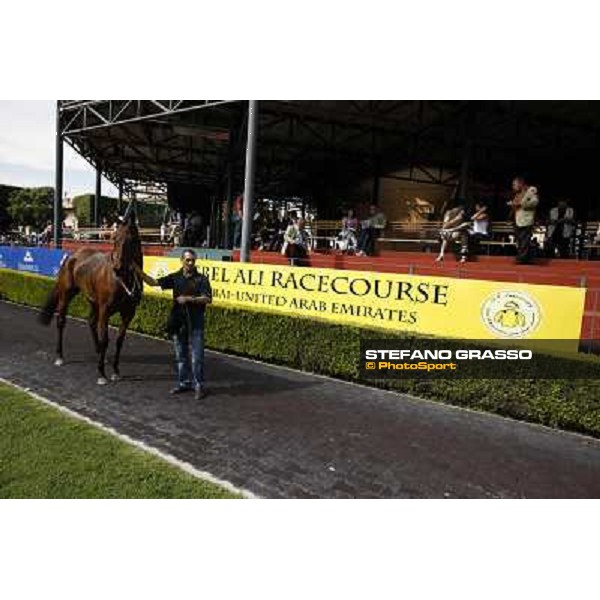 Premio Presidente della Repubblica GBI Racing Rome - Capannelle racecourse, 13th may 2012 ph.Stefano Grasso