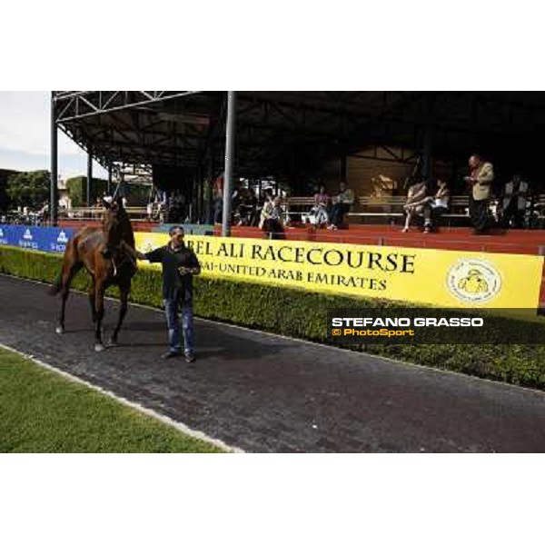 Premio Presidente della Repubblica GBI Racing Rome - Capannelle racecourse, 13th may 2012 ph.Stefano Grasso