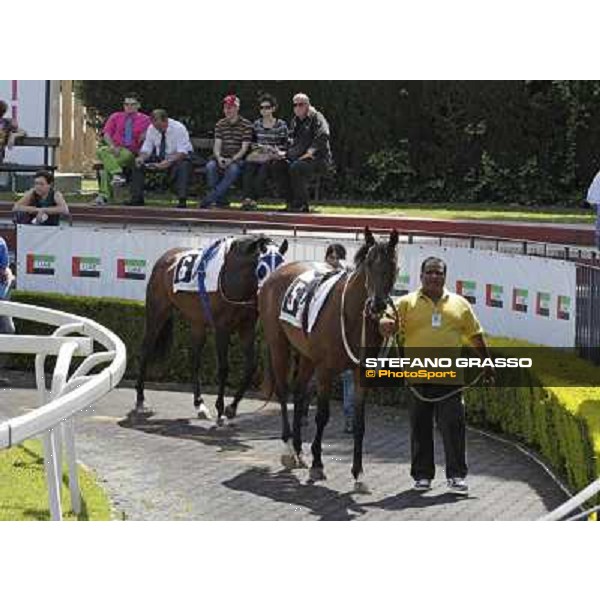 Premio Presidente della Repubblica GBI Racing Rome - Capannelle racecourse, 13th may 2012 ph.Stefano Grasso