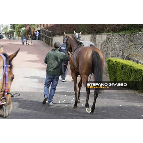 Premio Presidente della Repubblica GBI Racing Rome - Capannelle racecourse, 13th may 2012 ph.Stefano Grasso