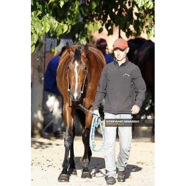 A morning with Gianluca,Gabriele,Luciano Bietolini and Real Solution preparing for the Derby ! Rome - Capannelle training center, 15th may 2012 ph.Stefano Grasso