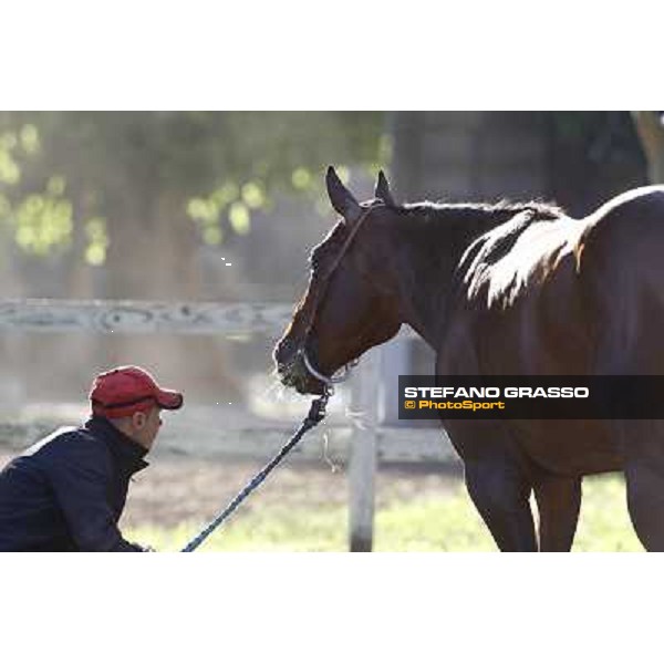 A morning with Gianluca,Gabriele,Luciano Bietolini and Real Solution preparing for the Derby ! Rome - Capannelle training center, 15th may 2012 ph.Stefano Grasso