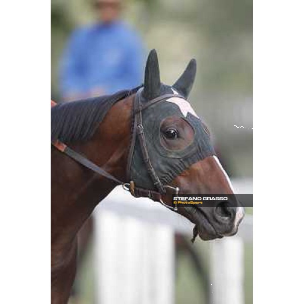 A morning with Gianluca,Gabriele,Luciano Bietolini and Real Solution preparing for the Derby ! Rome - Capannelle training center, 15th may 2012 ph.Stefano Grasso