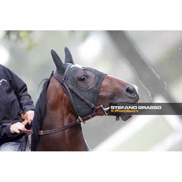 A morning with Gianluca,Gabriele,Luciano Bietolini and Real Solution preparing for the Derby ! Rome - Capannelle training center, 15th may 2012 ph.Stefano Grasso