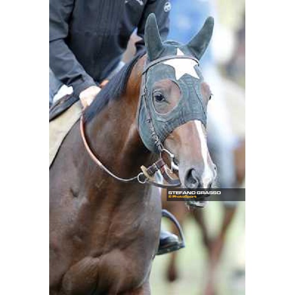 A morning with Gianluca,Gabriele,Luciano Bietolini and Real Solution preparing for the Derby ! Rome - Capannelle training center, 15th may 2012 ph.Stefano Grasso