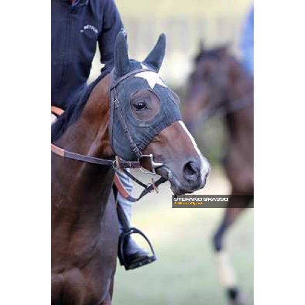 A morning with Gianluca,Gabriele,Luciano Bietolini and Real Solution preparing for the Derby ! Rome - Capannelle training center, 15th may 2012 ph.Stefano Grasso