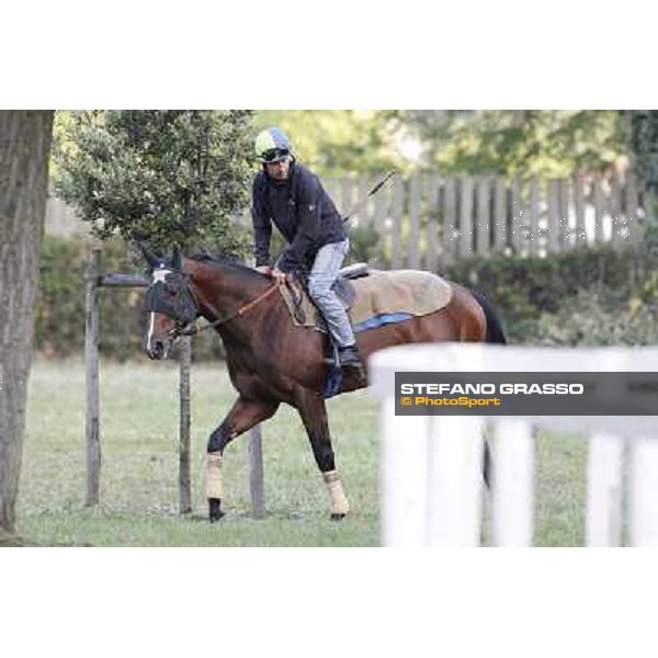 A morning with Gianluca,Gabriele,Luciano Bietolini and Real Solution preparing for the Derby ! Rome - Capannelle training center, 15th may 2012 ph.Stefano Grasso