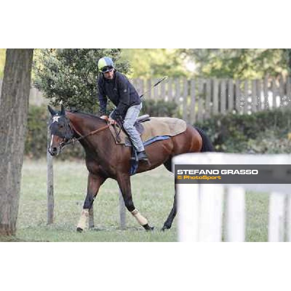 A morning with Gianluca,Gabriele,Luciano Bietolini and Real Solution preparing for the Derby ! Rome - Capannelle training center, 15th may 2012 ph.Stefano Grasso