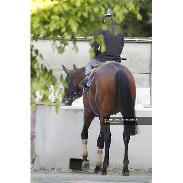 A morning with Gianluca,Gabriele,Luciano Bietolini and Real Solution preparing for the Derby ! Rome - Capannelle training center, 15th may 2012 ph.Stefano Grasso