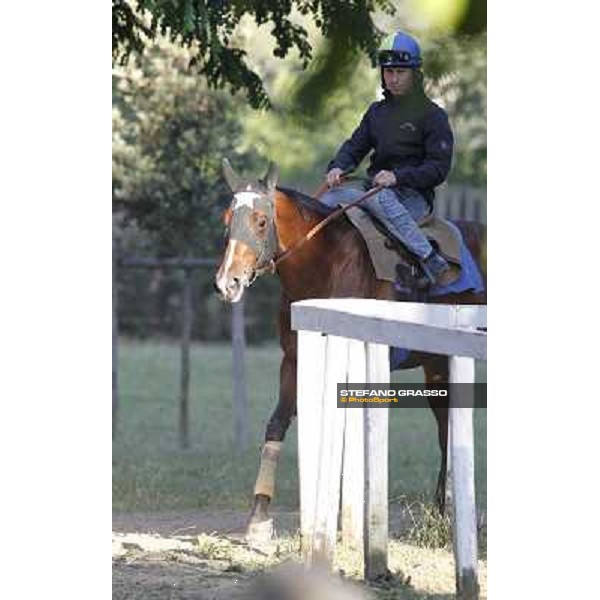 A morning with Gianluca,Gabriele,Luciano Bietolini and Real Solution preparing for the Derby ! Rome - Capannelle training center, 15th may 2012 ph.Stefano Grasso