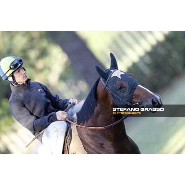 A morning with Gianluca,Gabriele,Luciano Bietolini and Real Solution preparing for the Derby ! Rome - Capannelle training center, 15th may 2012 ph.Stefano Grasso