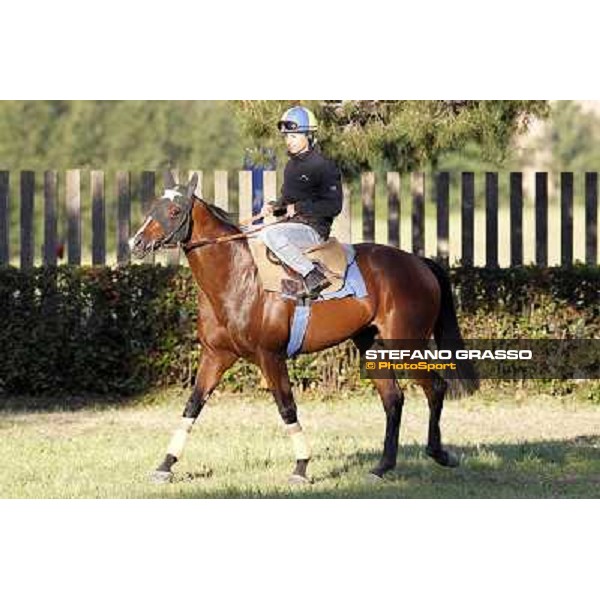 A morning with Gianluca,Gabriele,Luciano Bietolini and Real Solution preparing for the Derby ! Rome - Capannelle training center, 15th may 2012 ph.Stefano Grasso