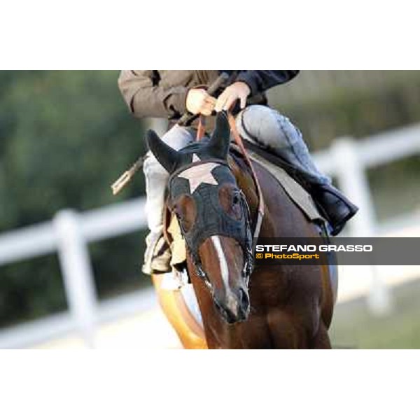 A morning with Gianluca,Gabriele,Luciano Bietolini and Real Solution preparing for the Derby ! Rome - Capannelle training center, 15th may 2012 ph.Stefano Grasso