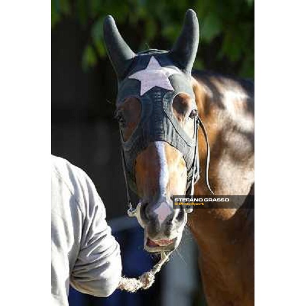 A morning with Gianluca,Gabriele,Luciano Bietolini and Real Solution preparing for the Derby ! Rome - Capannelle training center, 15th may 2012 ph.Stefano Grasso