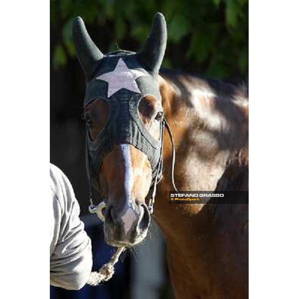 A morning with Gianluca,Gabriele,Luciano Bietolini and Real Solution preparing for the Derby ! Rome - Capannelle training center, 15th may 2012 ph.Stefano Grasso