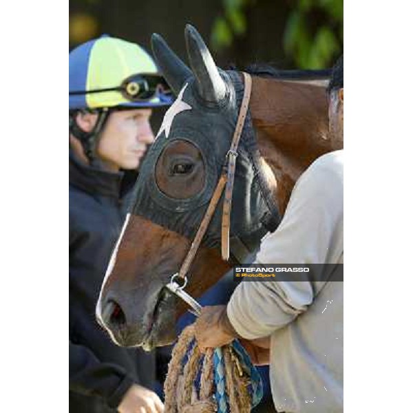 A morning with Gianluca,Gabriele,Luciano Bietolini and Real Solution preparing for the Derby ! Rome - Capannelle training center, 15th may 2012 ph.Stefano Grasso