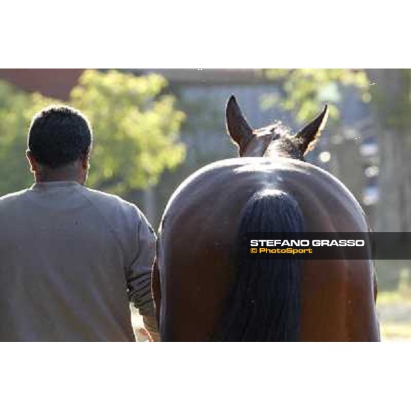 A morning with Gianluca,Gabriele,Luciano Bietolini and Real Solution preparing for the Derby ! Rome - Capannelle training center, 15th may 2012 ph.Stefano Grasso