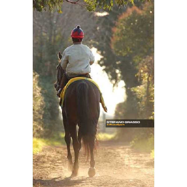 Michelle with Quel del Jaz coming back to the stable after morning works Cisterna di Latina, 16th january 2005 ph. Stefano Grasso