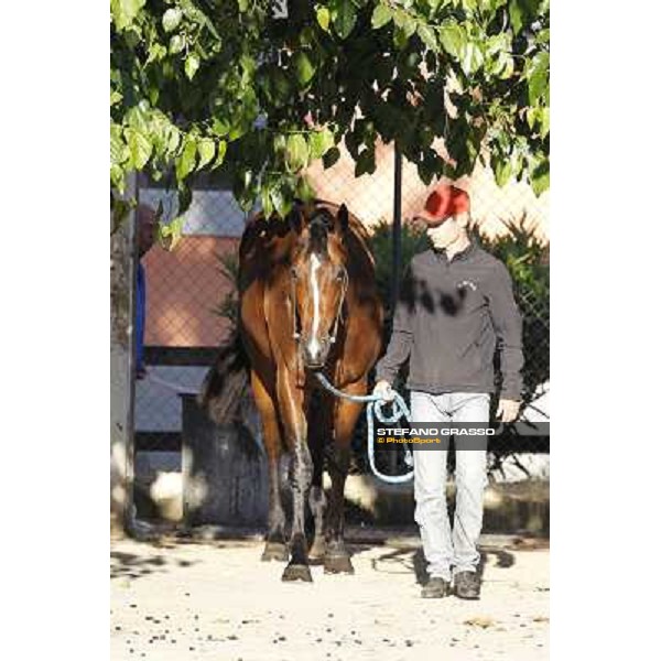 A morning with Gianluca,Gabriele,Luciano Bietolini and Real Solution preparing for the Derby ! Rome - Capannelle training center, 15th may 2012 ph.Stefano Grasso