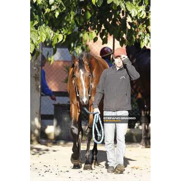 A morning with Gianluca,Gabriele,Luciano Bietolini and Real Solution preparing for the Derby ! Rome - Capannelle training center, 15th may 2012 ph.Stefano Grasso