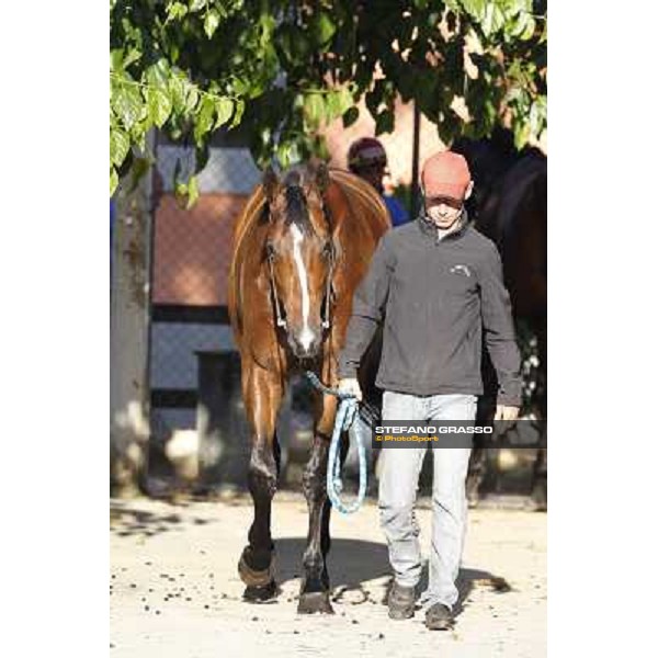 A morning with Gianluca,Gabriele,Luciano Bietolini and Real Solution preparing for the Derby ! Rome - Capannelle training center, 15th may 2012 ph.Stefano Grasso