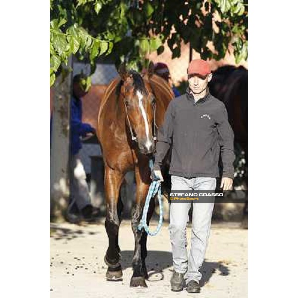 A morning with Gianluca,Gabriele,Luciano Bietolini and Real Solution preparing for the Derby ! Rome - Capannelle training center, 15th may 2012 ph.Stefano Grasso