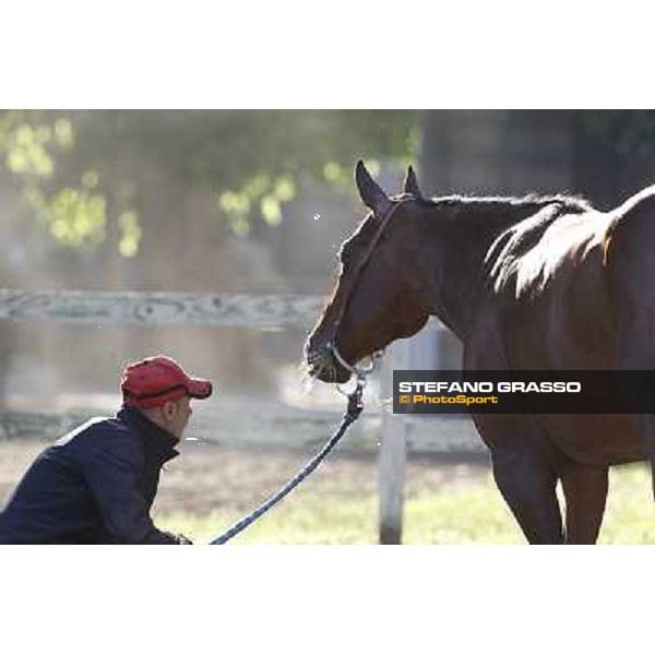 A morning with Gianluca,Gabriele,Luciano Bietolini and Real Solution preparing for the Derby ! Rome - Capannelle training center, 15th may 2012 ph.Stefano Grasso