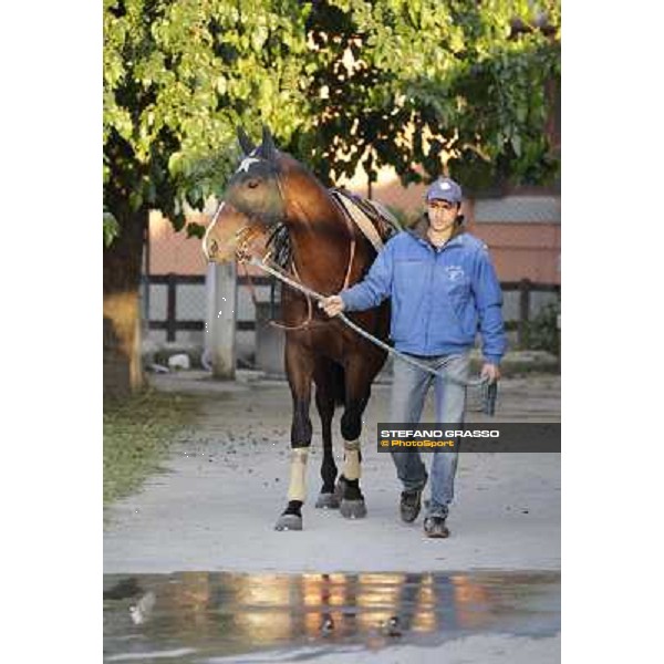 A morning with Gianluca,Gabriele,Luciano Bietolini and Real Solution preparing for the Derby ! Rome - Capannelle training center, 15th may 2012 ph.Stefano Grasso