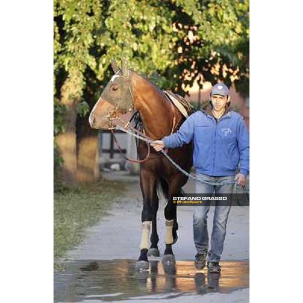 A morning with Gianluca,Gabriele,Luciano Bietolini and Real Solution preparing for the Derby ! Rome - Capannelle training center, 15th may 2012 ph.Stefano Grasso