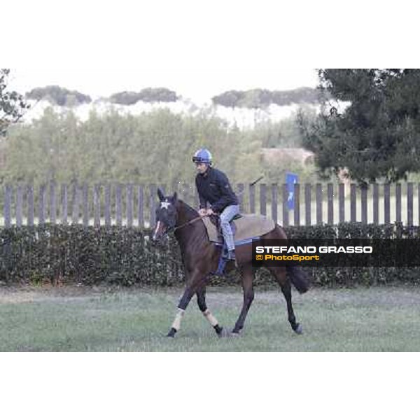 A morning with Gianluca,Gabriele,Luciano Bietolini and Real Solution preparing for the Derby ! Rome - Capannelle training center, 15th may 2012 ph.Stefano Grasso