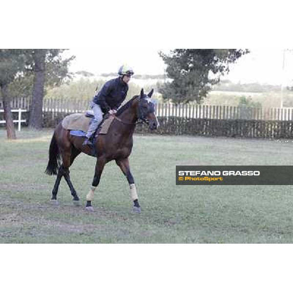 A morning with Gianluca,Gabriele,Luciano Bietolini and Real Solution preparing for the Derby ! Rome - Capannelle training center, 15th may 2012 ph.Stefano Grasso