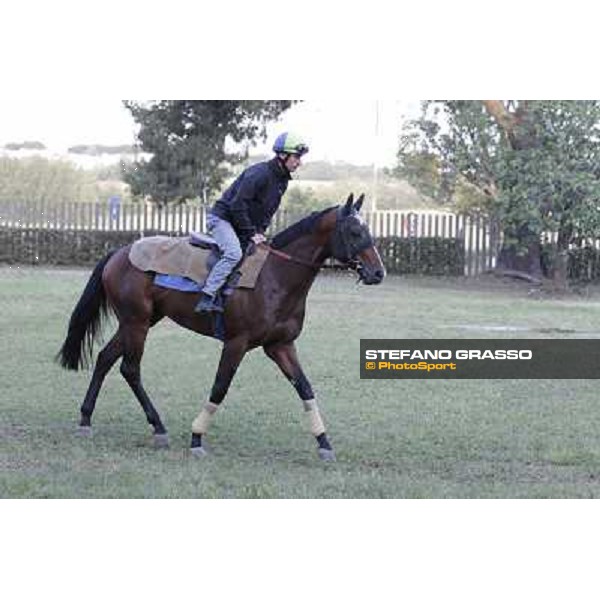 A morning with Gianluca,Gabriele,Luciano Bietolini and Real Solution preparing for the Derby ! Rome - Capannelle training center, 15th may 2012 ph.Stefano Grasso