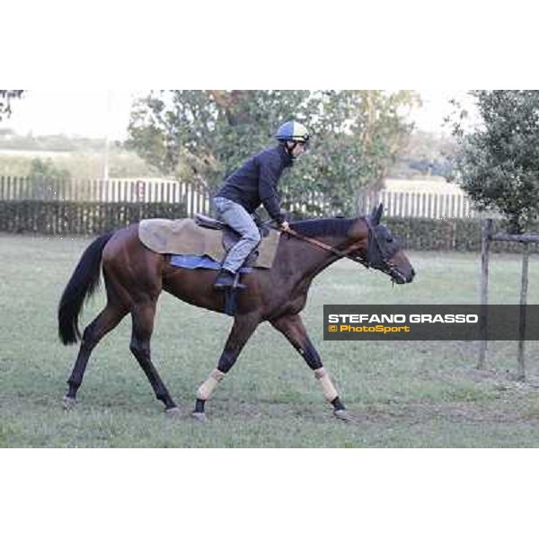 A morning with Gianluca,Gabriele,Luciano Bietolini and Real Solution preparing for the Derby ! Rome - Capannelle training center, 15th may 2012 ph.Stefano Grasso