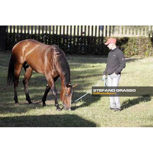 A morning with Gianluca,Gabriele,Luciano Bietolini and Real Solution preparing for the Derby ! Rome - Capannelle training center, 15th may 2012 ph.Stefano Grasso